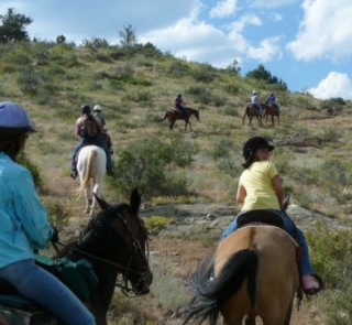  Paseos a caballo en Alta Saboya